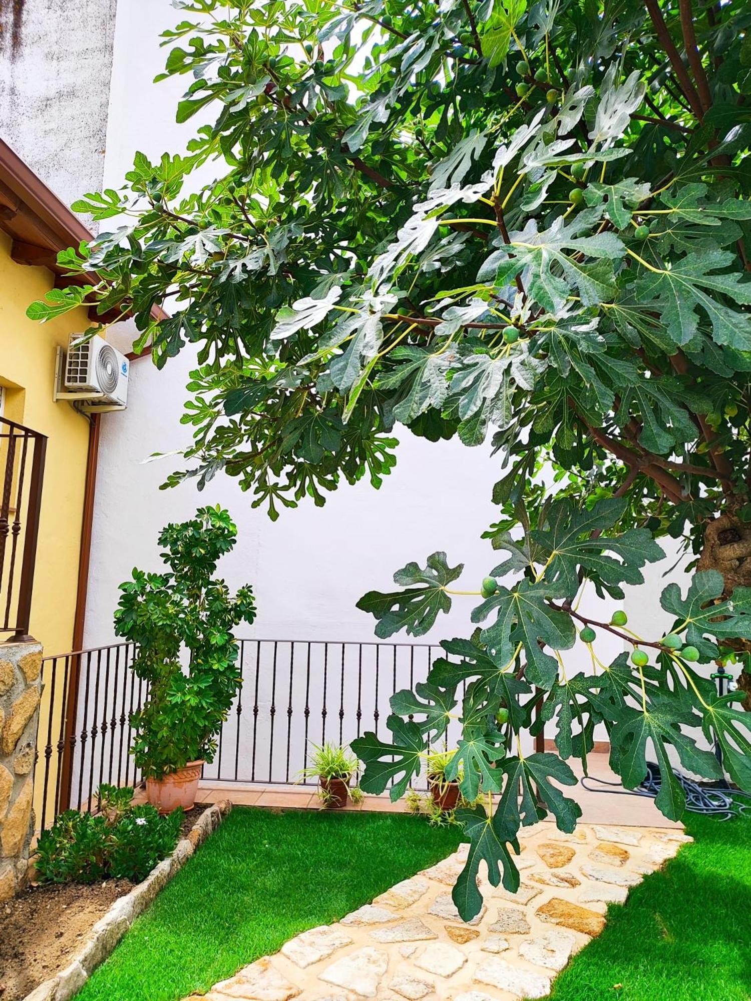 La Casita De Ra Villa Castillo de Bayuela Exteriör bild